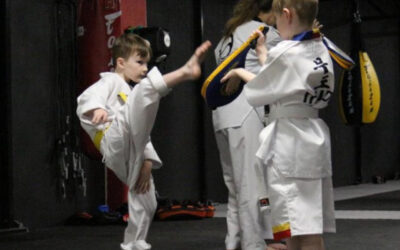 V4V Good Practice Case Studies: Espoo Taekwondo Academy