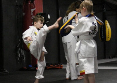 V4V Good Practice Case Studies: Espoo Taekwondo Academy