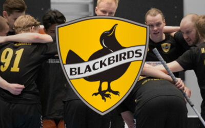 V4V Good Practice Case Studies: Blackbirds United