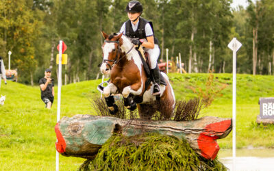 Protected: V4V Good Practice Case Studies: Eesti Ratsaspordi Liit (Estonian Equestrian Federation)