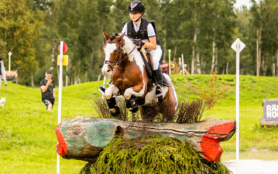 V4V Good Practice Case Studies: Eesti Ratsaspordi Liit (Estonian Equestrian Federation)