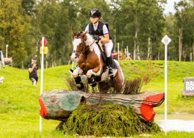 V4V Good Practice Case Studies: Eesti Ratsaspordi Liit (Estonian Equestrian Federation)